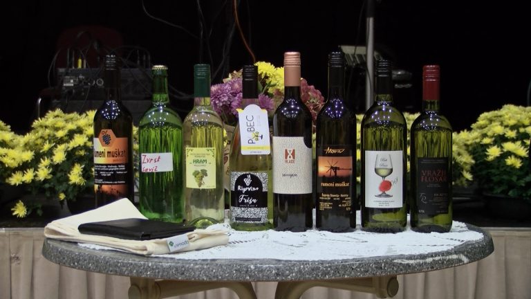 Turistično društvo Kamnica - Martinovanje